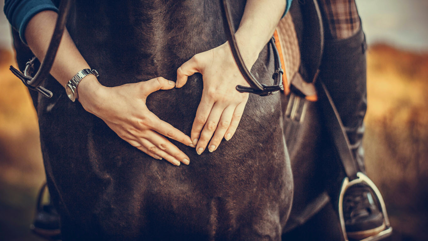 fresh-start-farm-post-1